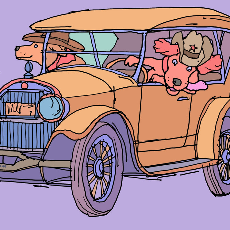 Cowboy Joyriding Dogs