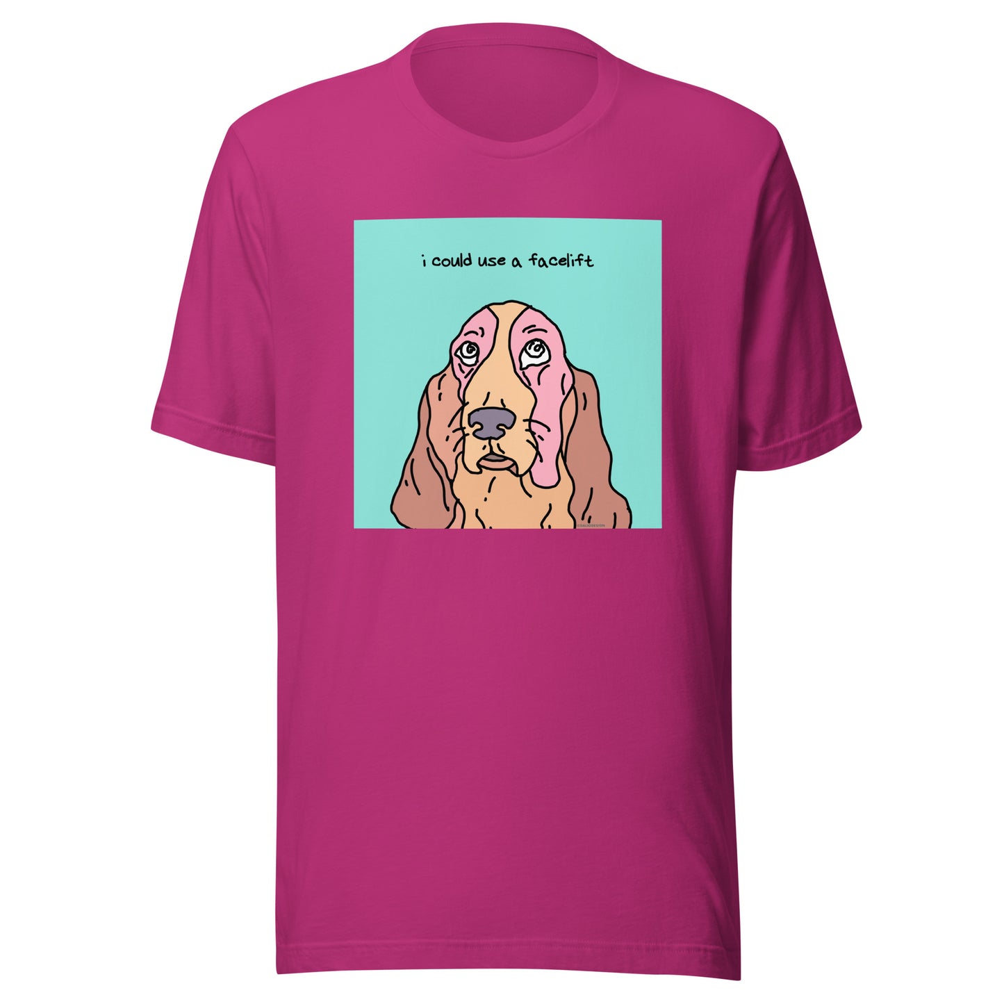 I Could Use a Facelift - Unisex t-shirt