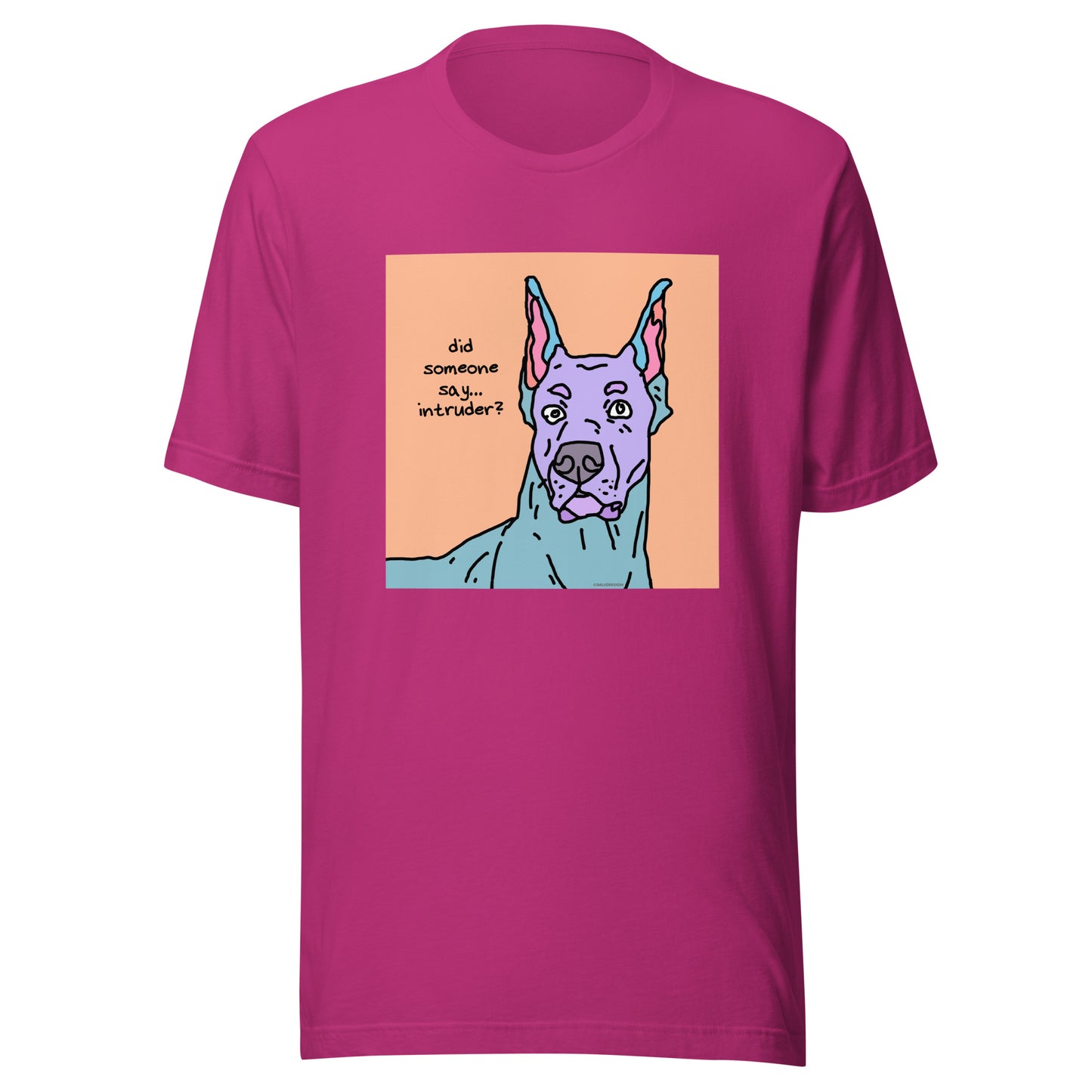 Did Someone Say Intruder? - Unisex t-shirt