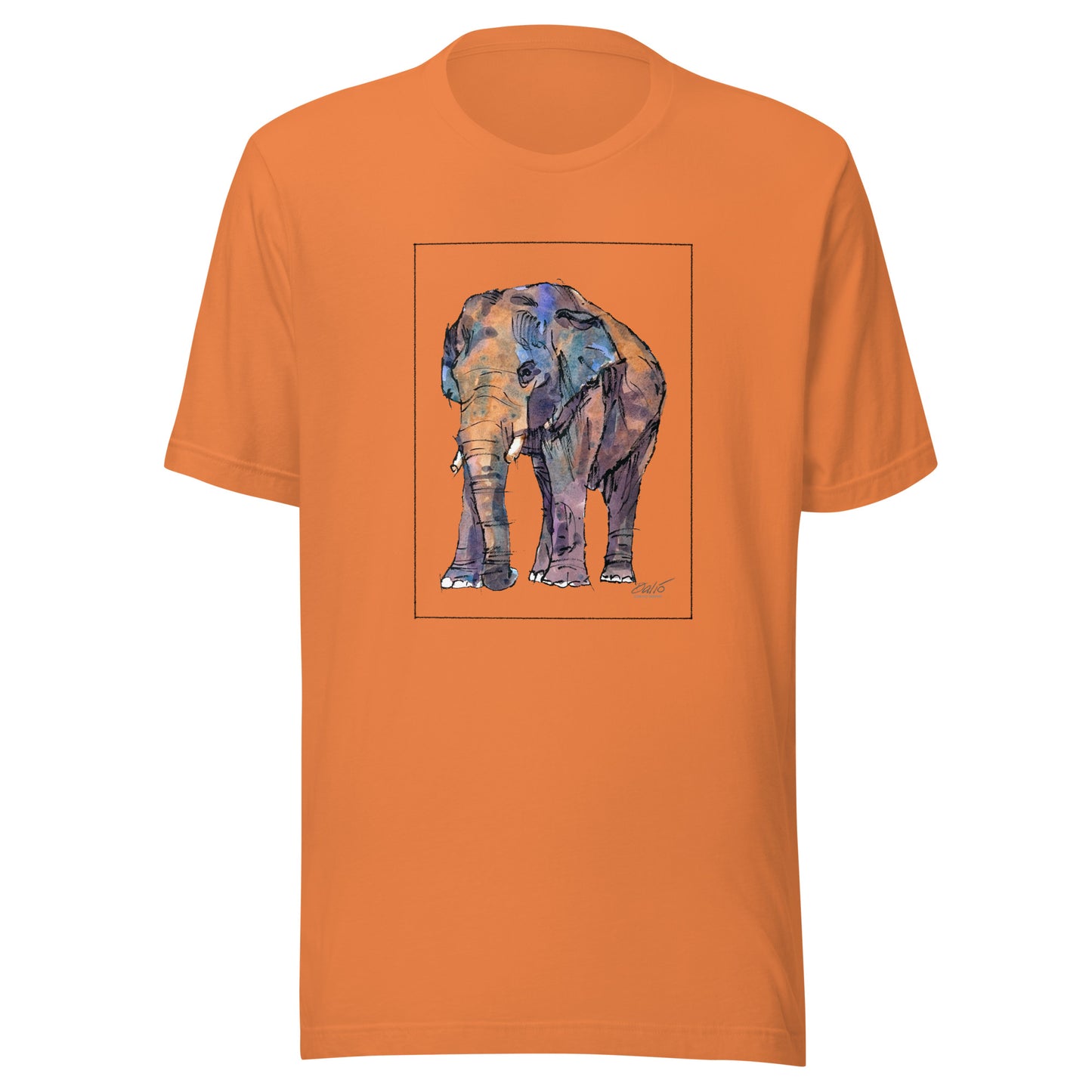 Asian Elephant - Unisex t-shirt