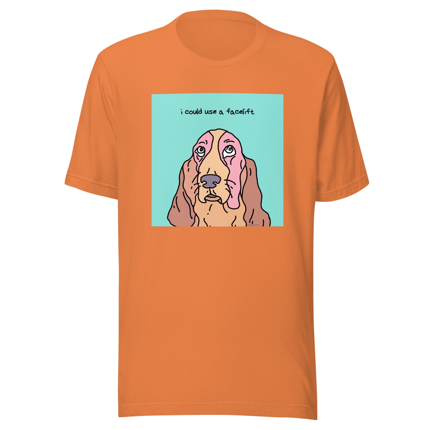 I Could Use a Facelift - Unisex t-shirt