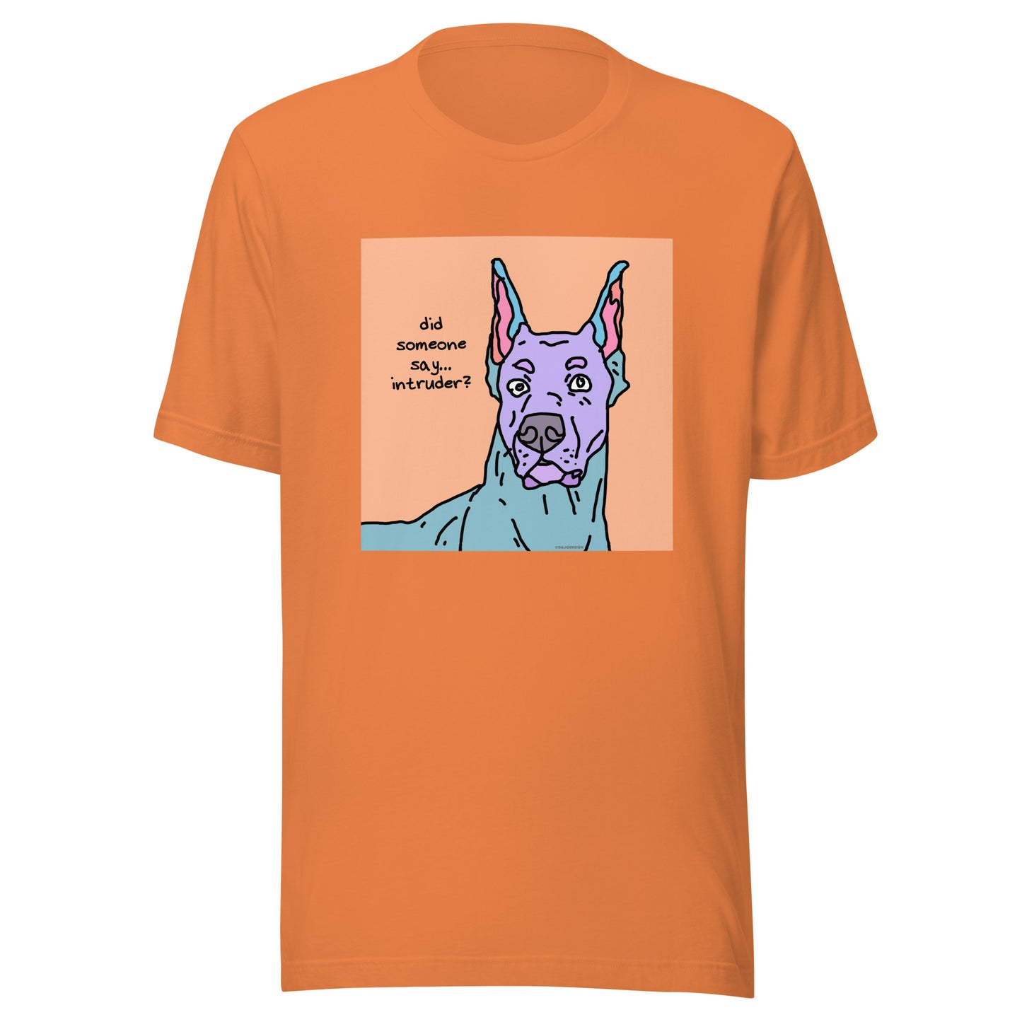 Did Someone Say Intruder? - Unisex t-shirt