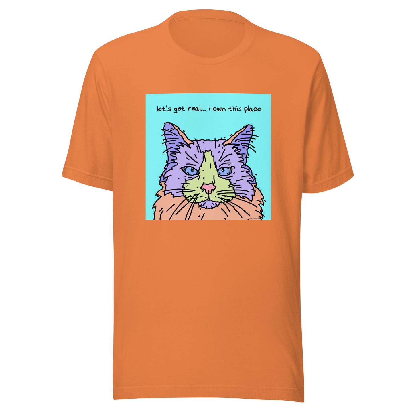 Let’s Get Real… I Own This Place - Unisex t-shirt