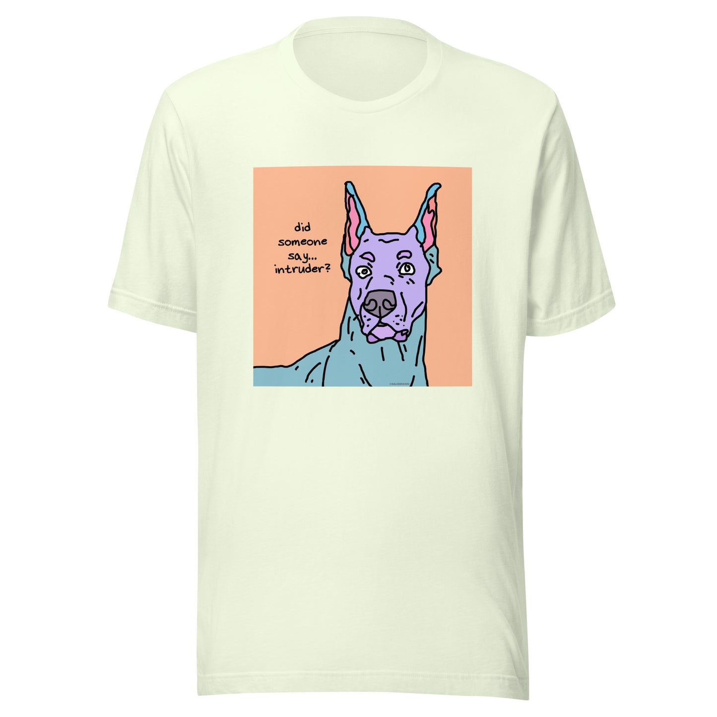 Did Someone Say Intruder? - Unisex t-shirt