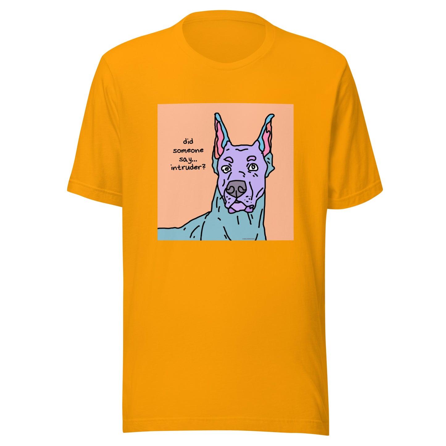 Did Someone Say Intruder? - Unisex t-shirt