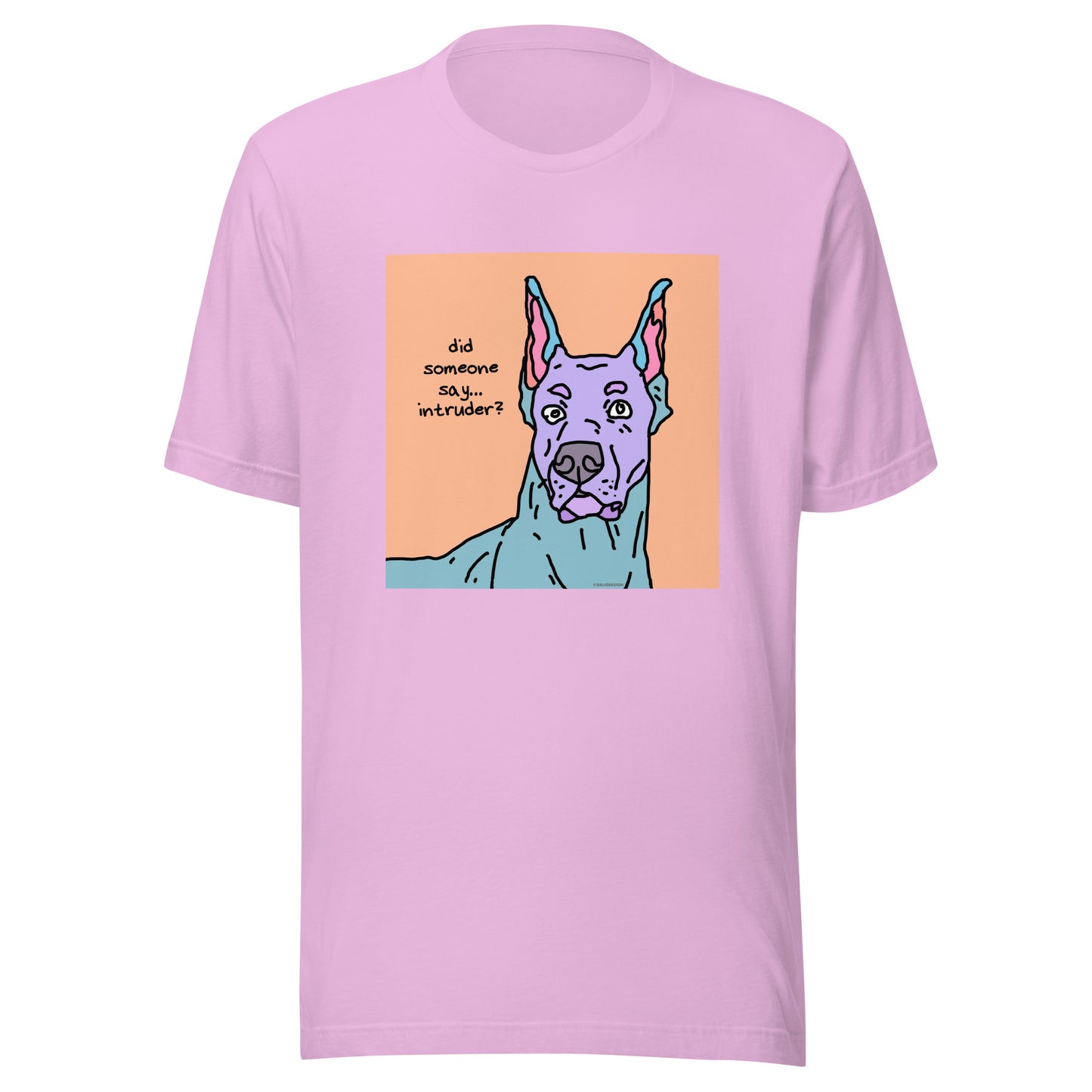 Did Someone Say Intruder? - Unisex t-shirt