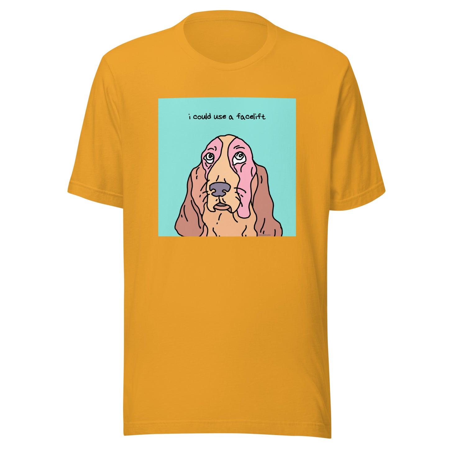 I Could Use a Facelift - Unisex t-shirt