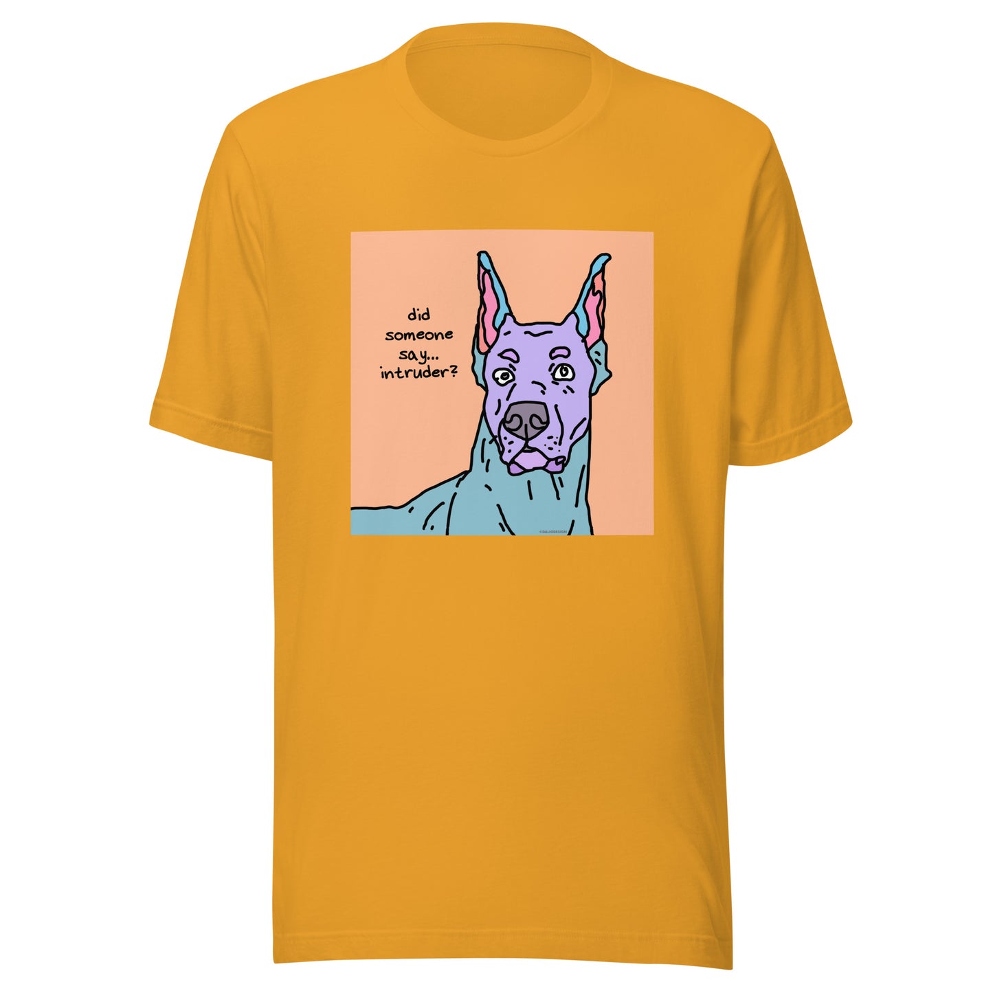 Did Someone Say Intruder? - Unisex t-shirt