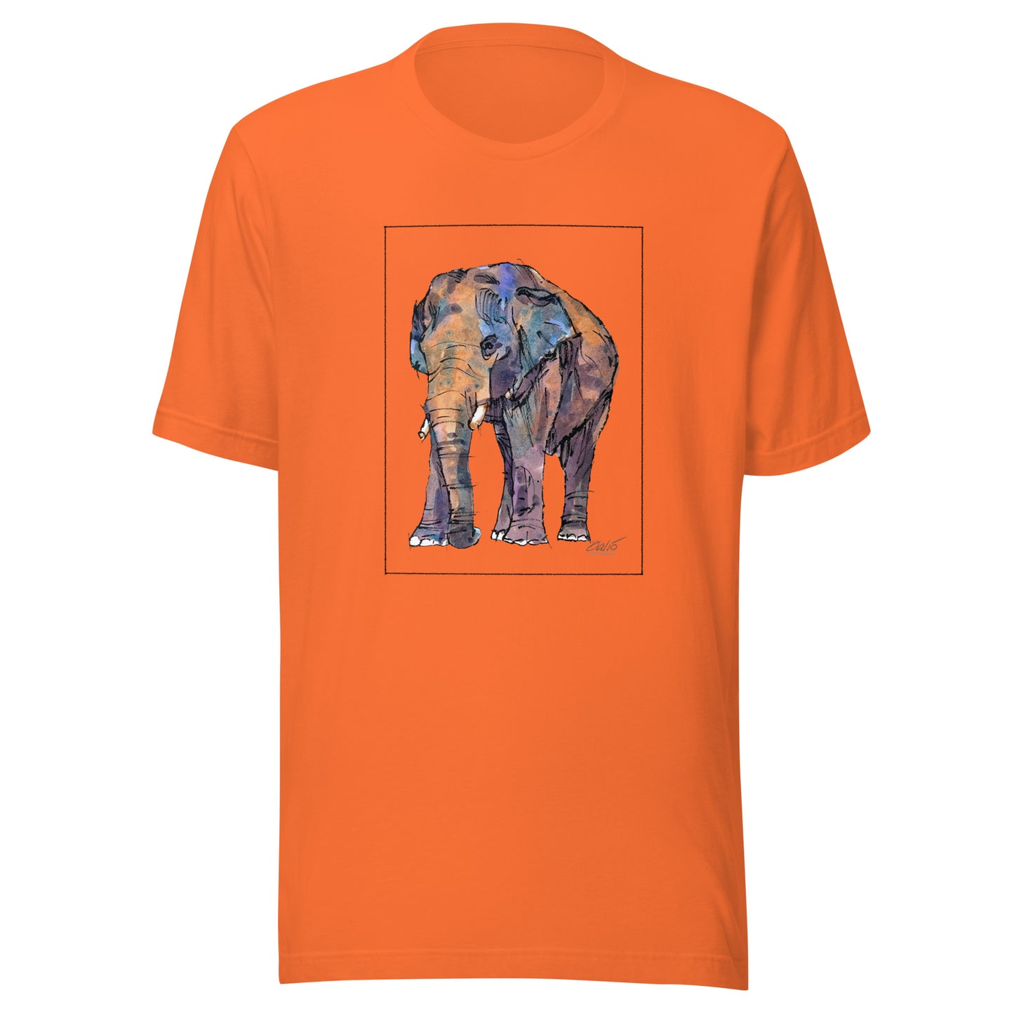 Asian Elephant - Unisex t-shirt