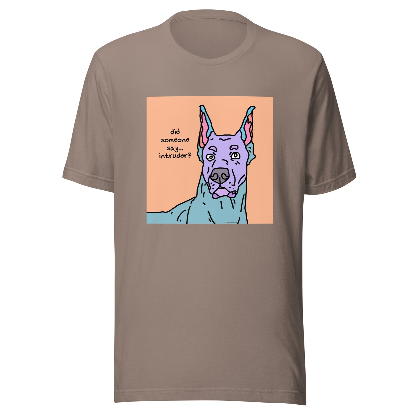 Did Someone Say Intruder? - Unisex t-shirt