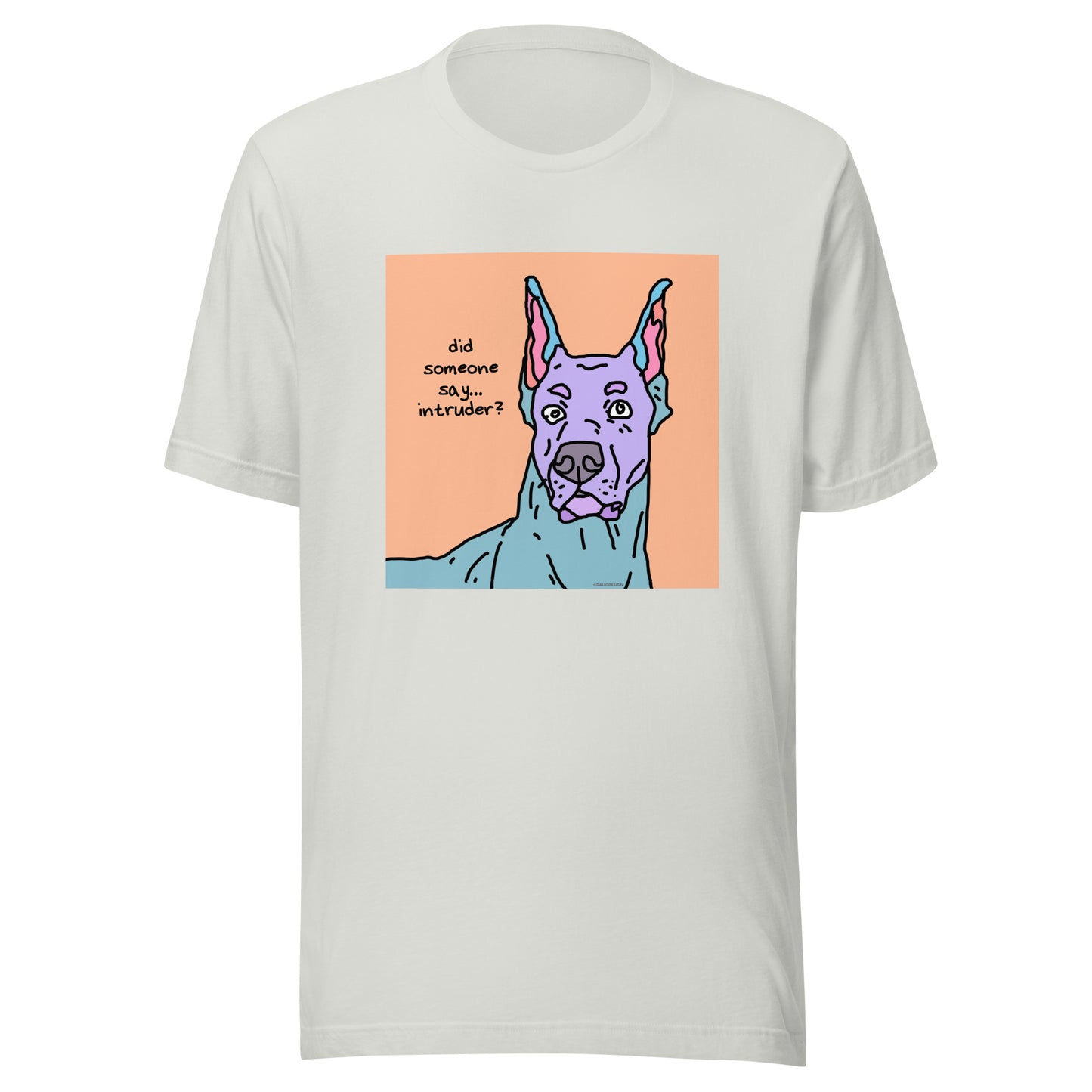 Did Someone Say Intruder? - Unisex t-shirt