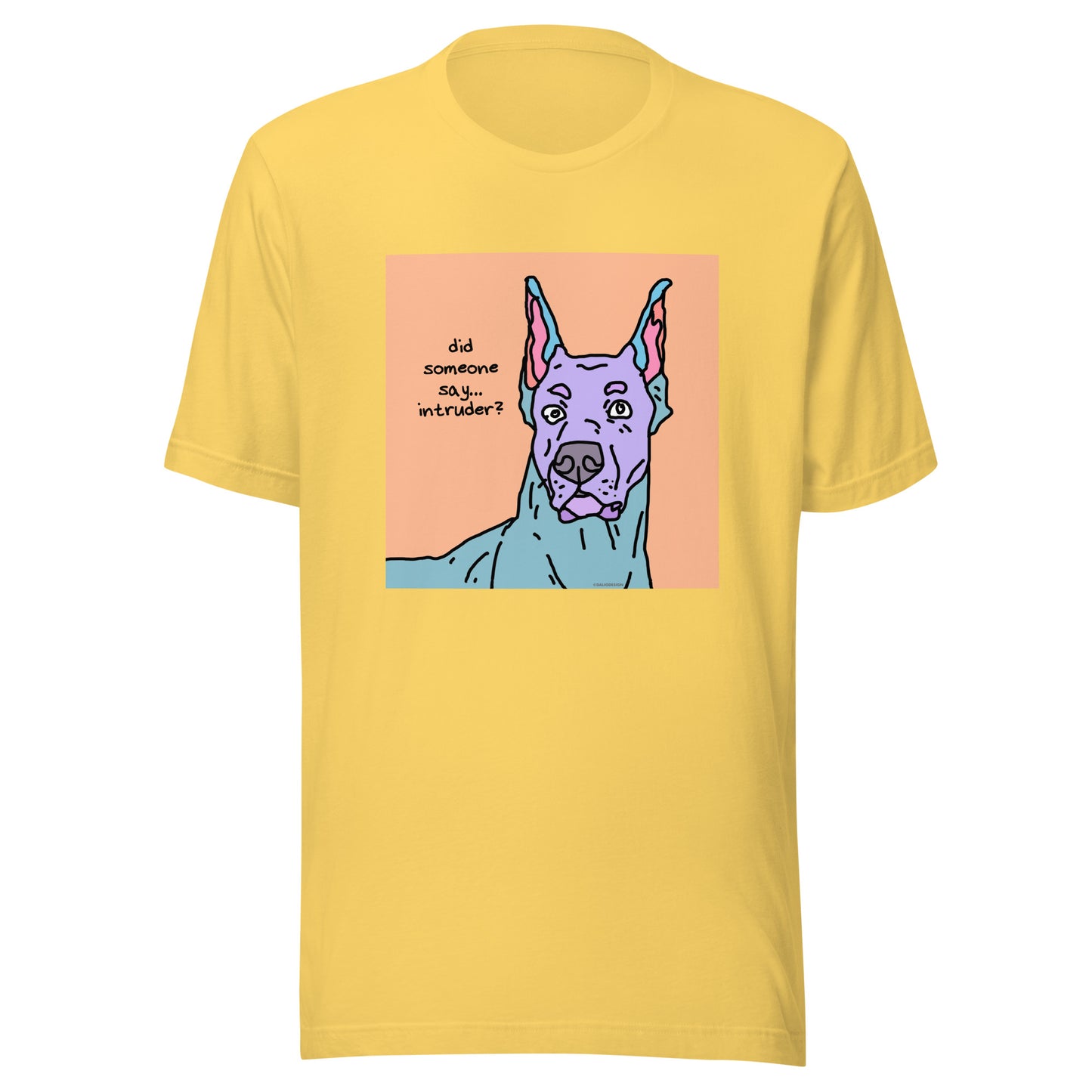 Did Someone Say Intruder? - Unisex t-shirt